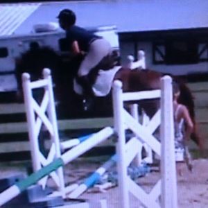 Meet your Posher, Tracey